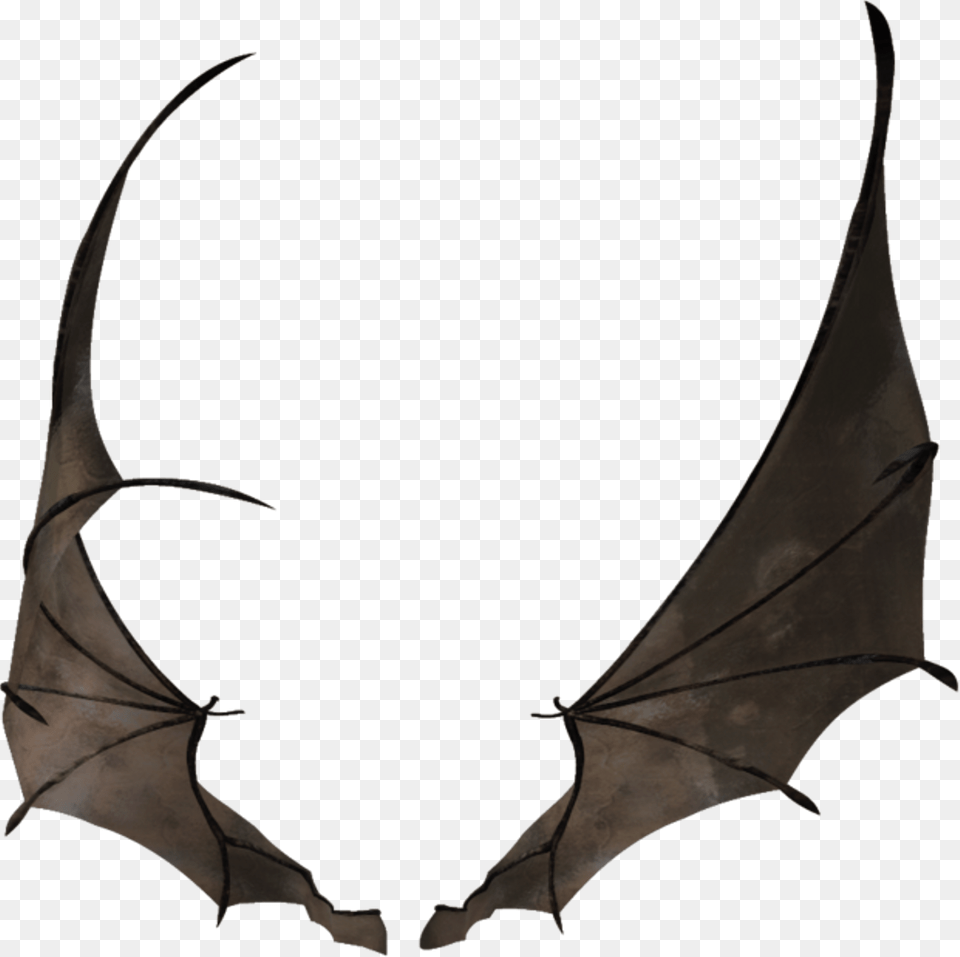 Bat Wing Wings Batwing Batwingsfreetoedit Small Dragon Wings Mmd, Animal, Mammal, Wildlife, Bow Free Png