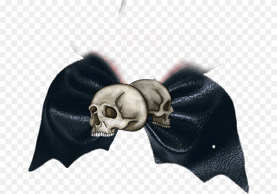 Batbow Bat Bow Bows Hairbow Skull, Baby, Person, Accessories Free Transparent Png