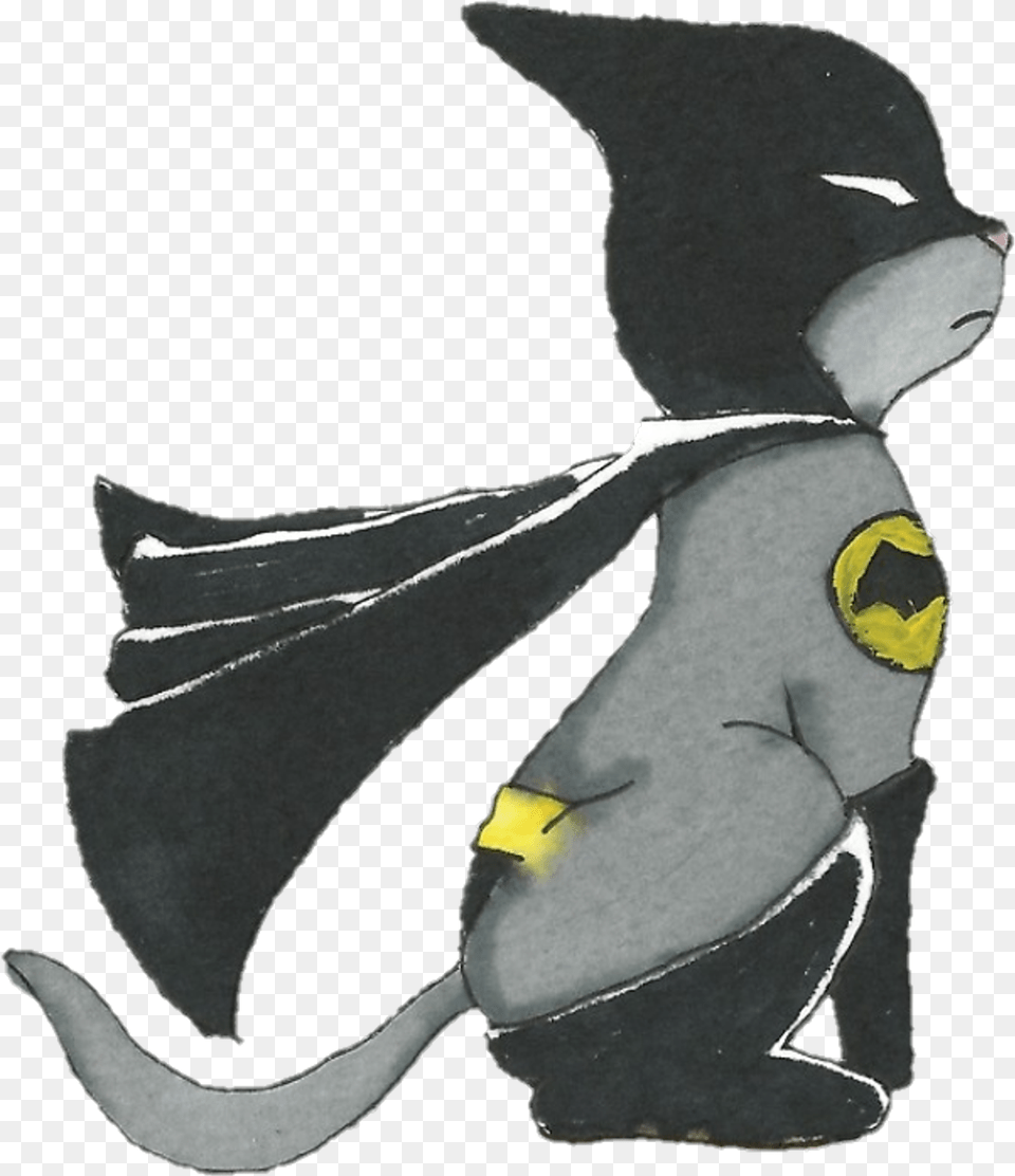Batcat Batman Superhero Supercat Cat Cape Kitten Ivory Billed Woodpecker, Baby, Person, Animal, Bird Png