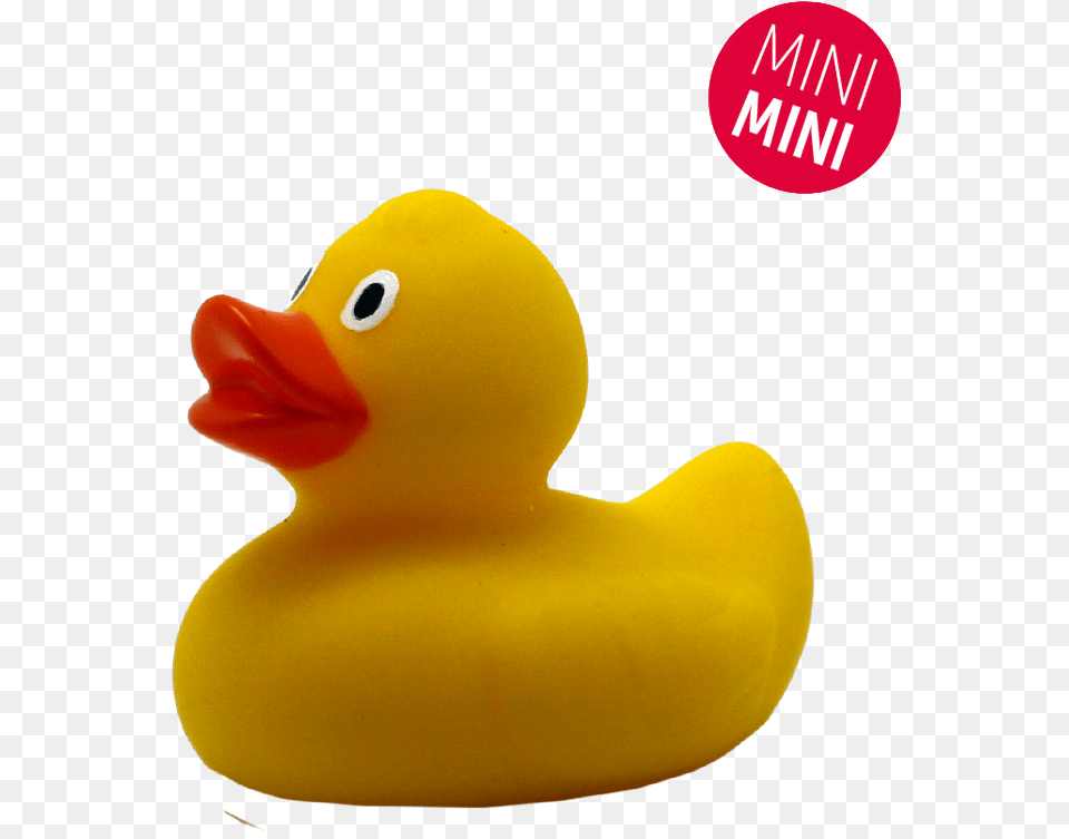Bath Toy, Animal, Beak, Bird, Duck Free Png