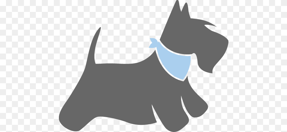 Bathandbone Dogonly Bath Amp Bone Dog Grooming, Accessories, Stencil, Animal, Canine Free Transparent Png