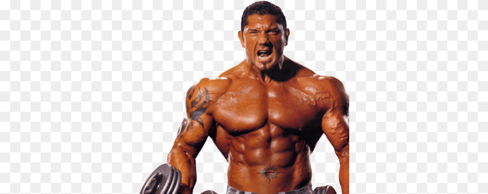 Batista Abs Body Of Batista, Adult, Male, Man, Person Free Png Download