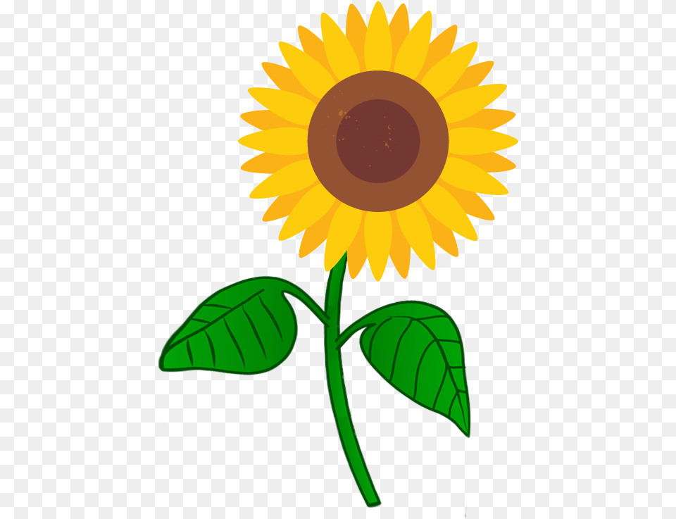 Batmaster Sunflower Golden Seal Transparent Transparent Red Ribbon For Recognition, Flower, Plant Png