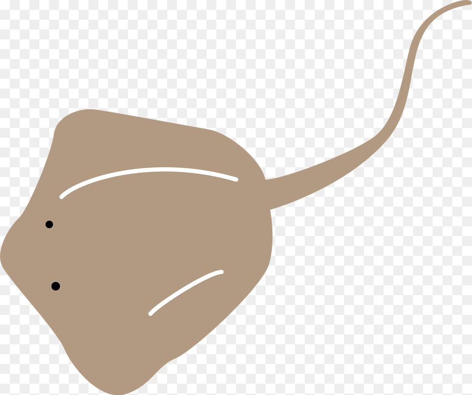 Batoidea Ray Fish Clipart, Animal, Sea Life, Stingray, Manta Ray Png