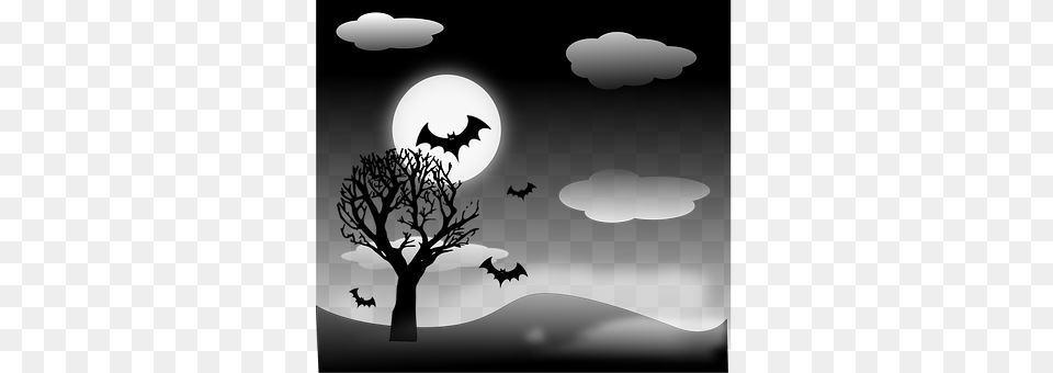 Bats Nature, Night, Outdoors, Silhouette Free Png Download