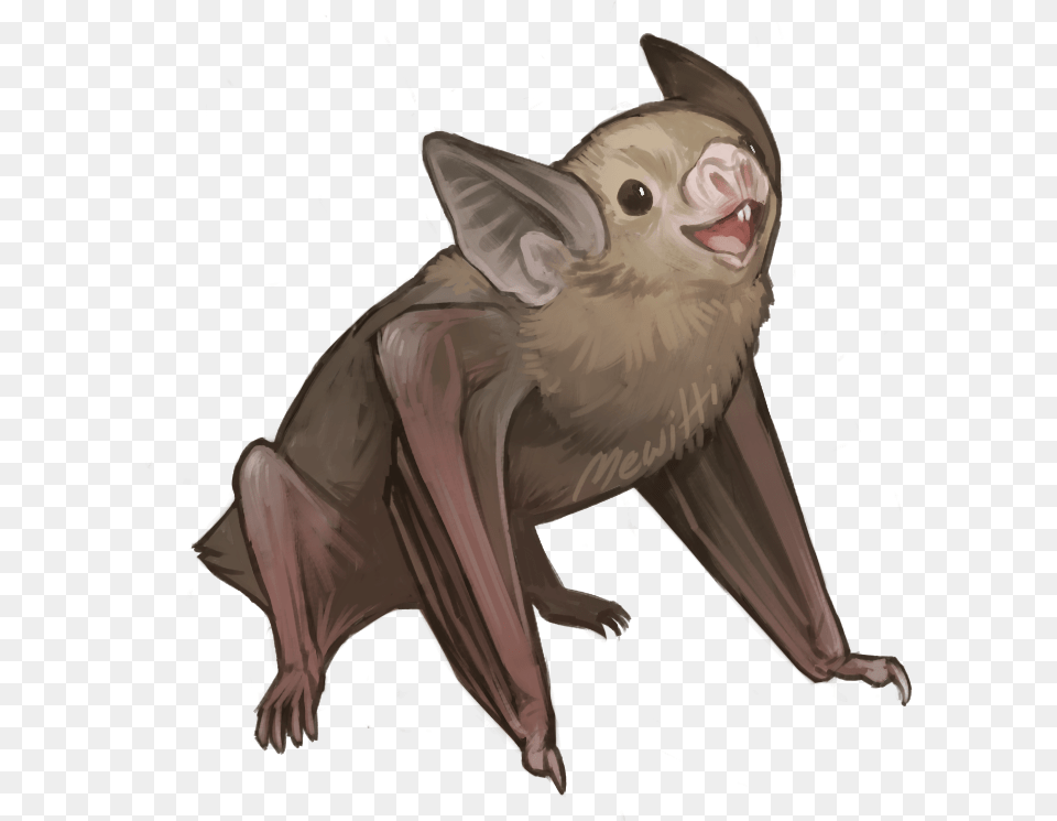 Bats Drawing Realistic Vampire Bat Drawing, Animal, Mammal, Wildlife, Bird Png