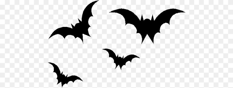 Bats Transparent, Blackboard, Animal, Mammal, Symbol Png Image