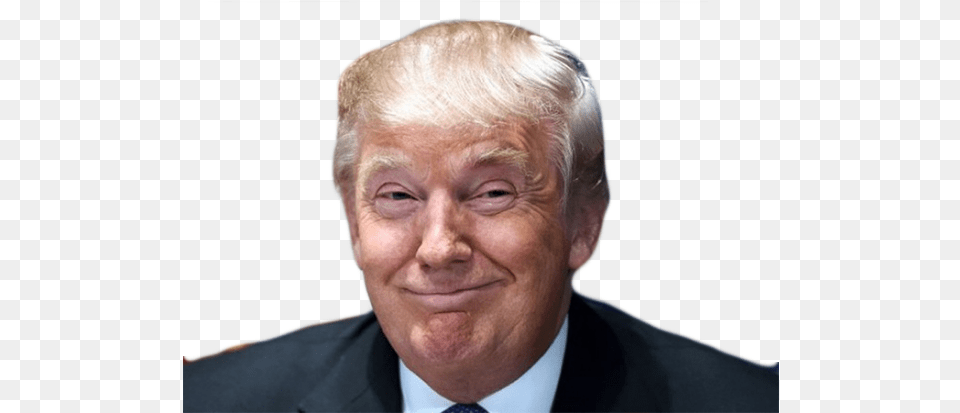 Battle Donald J Trump His Plan In His Own Words, Adult, Smile, Portrait, Photography Png Image