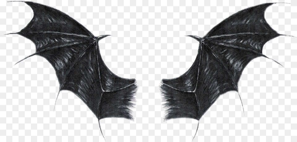 Batwings Realistic Black Dragon Wings, Animal, Fish, Sea Life, Shark Png