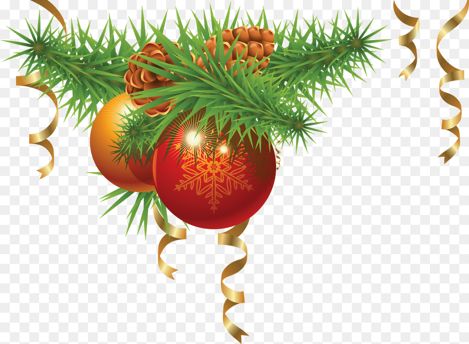 Bauble, Conifer, Plant, Tree, Accessories Free Png Download