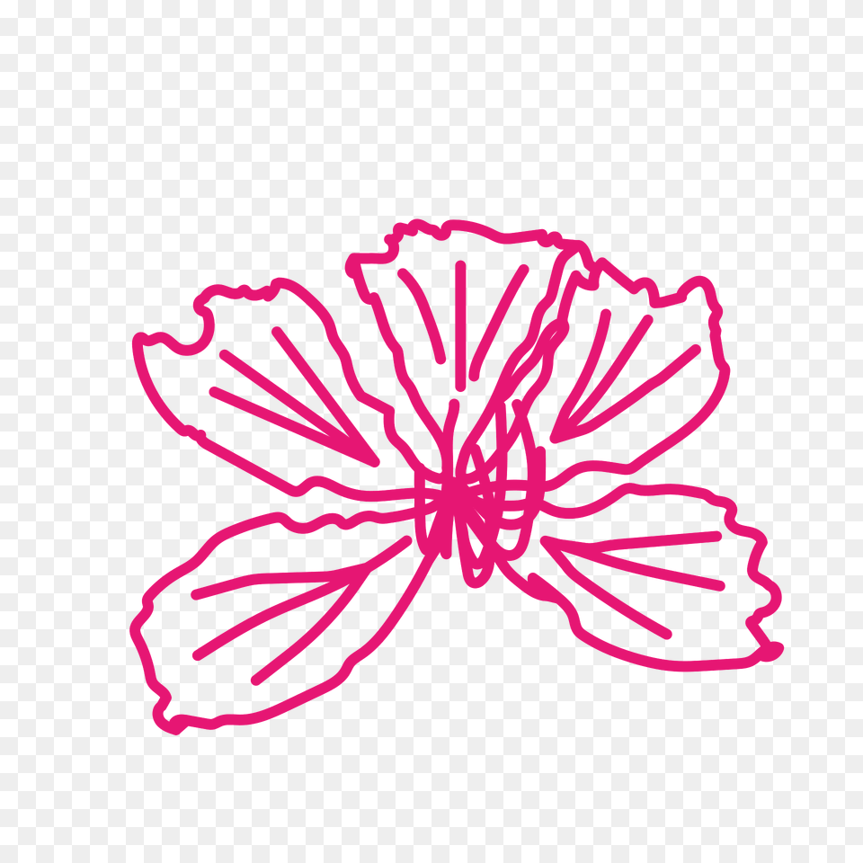 Bauhinia Blakeana Mark Pink Clipart, Purple, Flower, Plant, Pattern Free Transparent Png