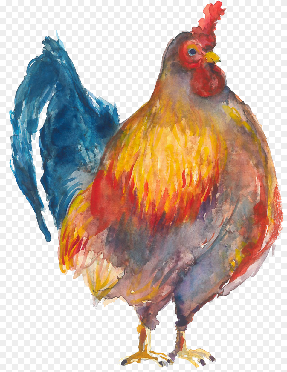 Bawkbawk Chicken, Animal, Bird, Fowl, Poultry Free Png