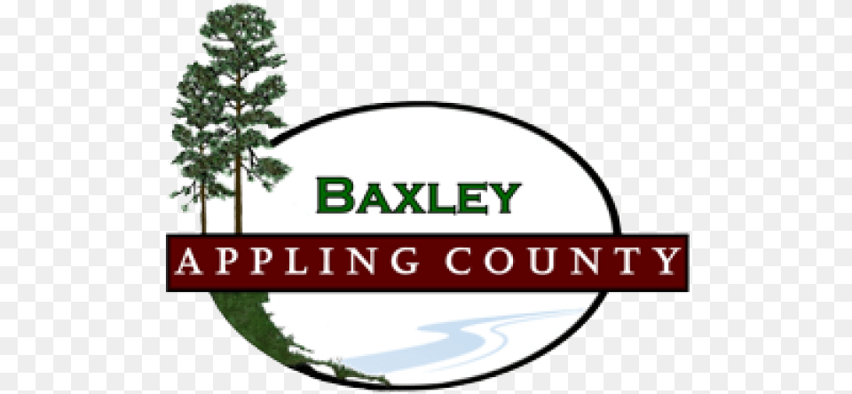 Baxley Entering Hgtvu0027s Hometown Takeover Contest Z 94 L Appling County Ga, Tree, Plant, Vegetation, Pine Free Transparent Png
