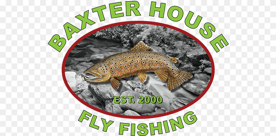 Baxter House Fly Fishing Logo Trout, Animal, Fish, Sea Life Png Image