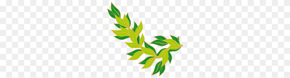 Bay Art, Plant, Pattern, Leaf, Herbs Png Image