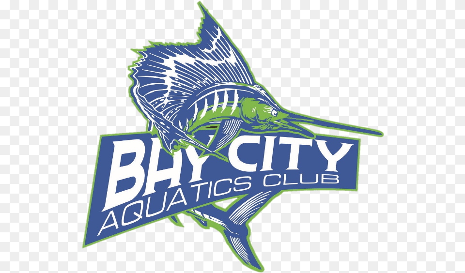 Bay City Aquatics Club, Animal, Sea Life, Bird, Fish Free Png