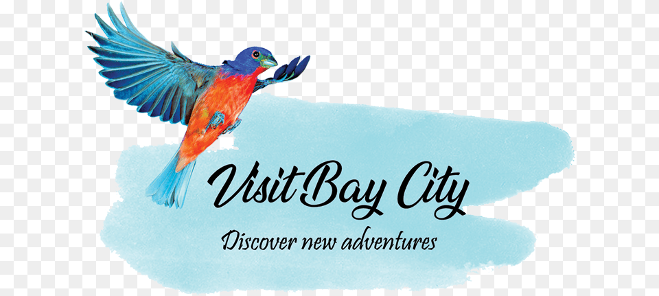 Bay City Tourism Council Coraciiformes, Animal, Bird, Beak, Parrot Free Png Download