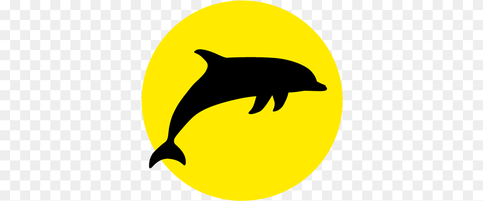 Bay Explorer Island Amp Wildlife Tour Cruise In Tauranga Icon Dolphin, Animal, Mammal, Sea Life, Astronomy Free Png Download