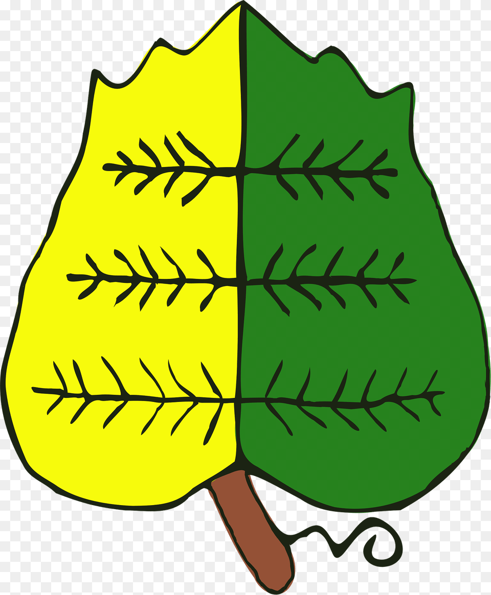 Bay Laub Clipart, Leaf, Plant, Tree Free Transparent Png