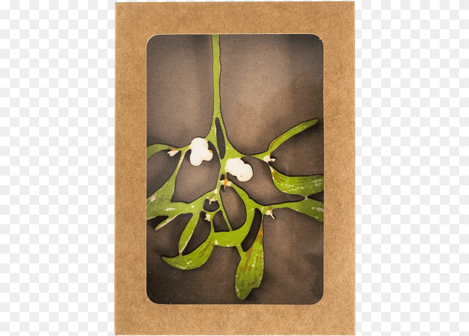 Bay Laurel, Leaf, Plant, Tree Png Image