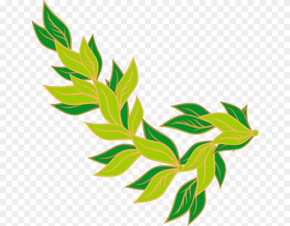 Bay Leaf Pimenta Racemosa Pickled Cucumber Cooking, Art, Floral Design, Graphics, Herbal Png