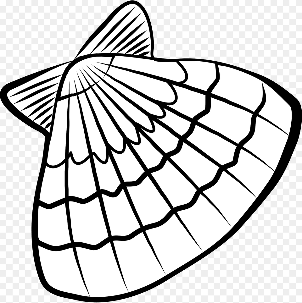 Bay Scallop Seashell Clipart, Invertebrate, Animal, Clam, Food Png Image
