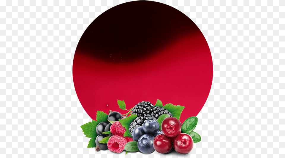 Bayas Silvestres, Berry, Blueberry, Food, Fruit Png