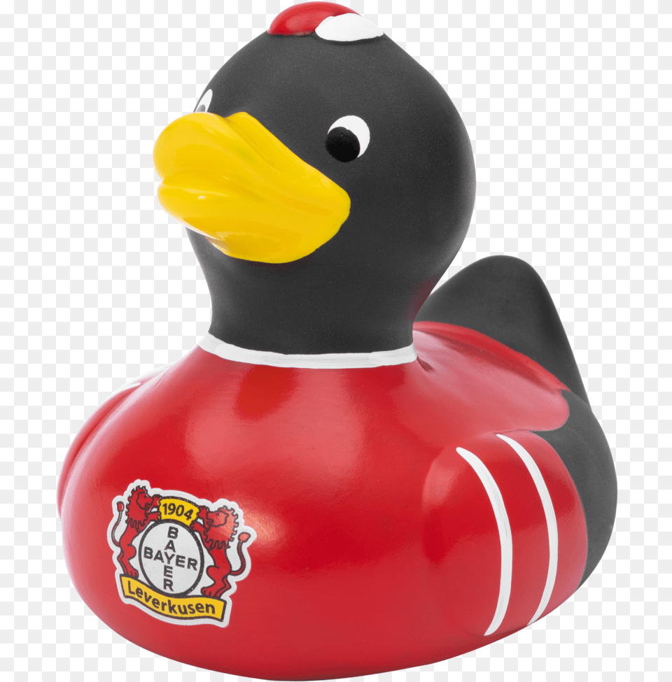 Bayer 04 Leverkusen, Animal, Bird, Duck, Nature Free Png Download