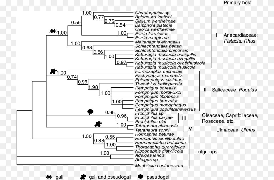 Bayesian Tree Reconstructed From Ef Screenshot Free Png