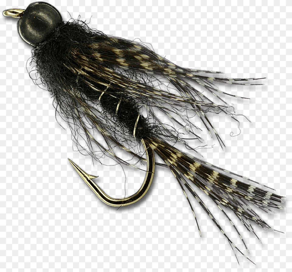 Bb Black Birds Nest Insect, Electronics, Hardware, Fishing Lure, Animal Free Png Download