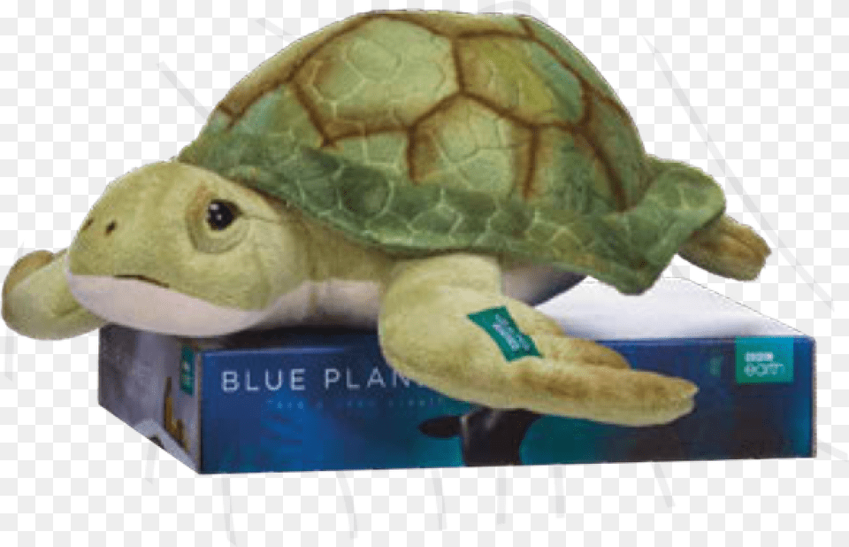Bbc Blue Planet Turtle 30cm Kemp39s Ridley Sea Turtle, Plush, Toy, Animal, Reptile Png Image