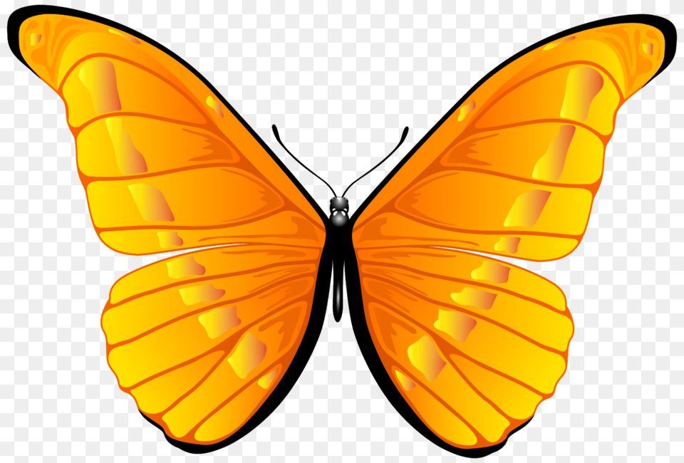 Bbq Clipart Butterfly Clipart, Animal, Insect, Invertebrate Free Transparent Png