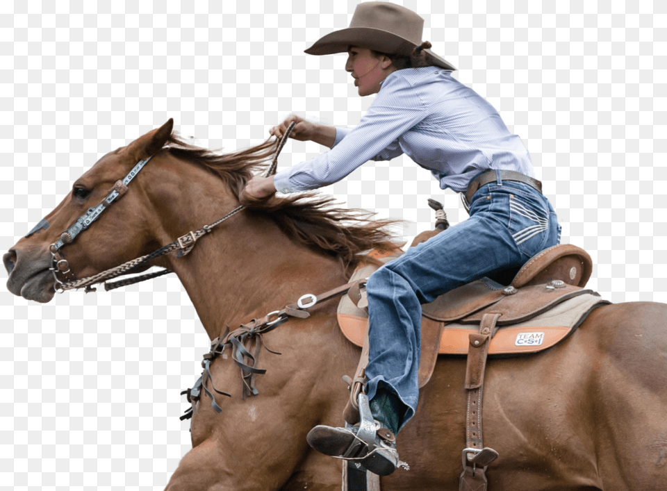 Bc High School Rodeo, Adult, Clothing, Person, Man Free Png