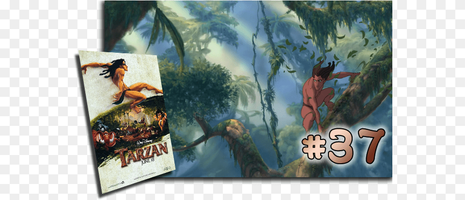 Bcdb List Of Disney Animated Films Tarzan Original Movie Poster Double Sided Regular, Outdoors, Plant, Rainforest, Tree Free Transparent Png