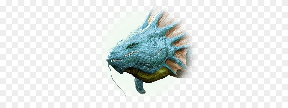 Bdo Boat U0026 Sailing Guide Black Desert Online Dragon, Animal, Dinosaur, Reptile, T-rex Free Transparent Png