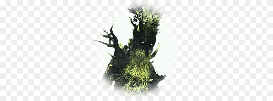 Bdo Degraded Ruins Tree Treant Knowledge Database Fiction, Moss, Plant, Photography, Plate Png Image