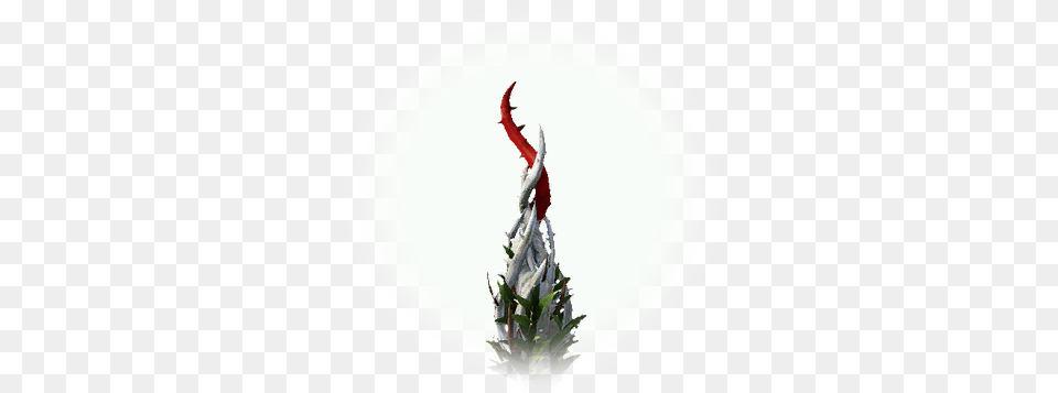 Bdo White Tree Thorn Vine Fictional Character, Plate, Dragon, Leaf, Plant Png