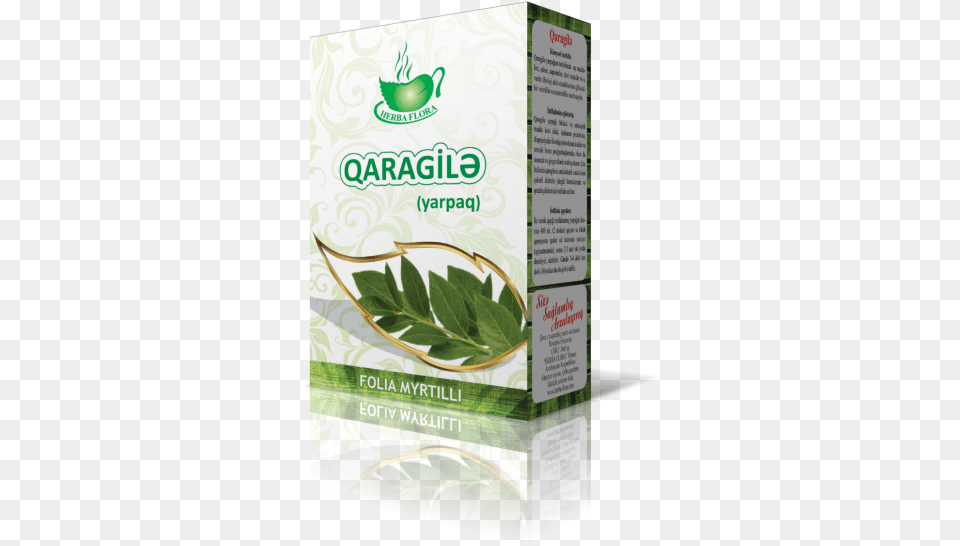 Bdrnc Herba Flora, Herbal, Herbs, Plant, Astragalus Png Image