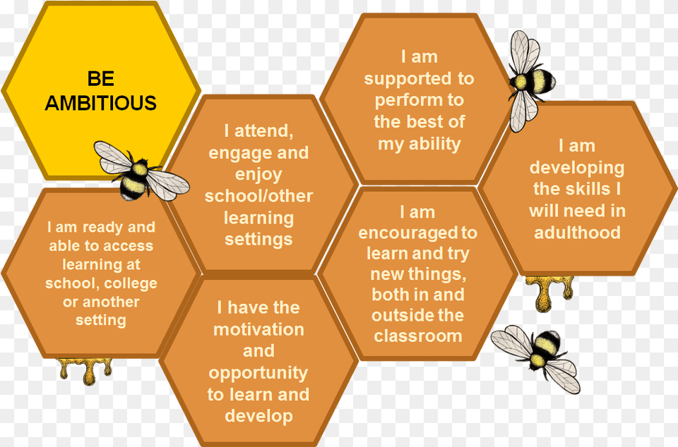 Be Ambitious Trans Hertfordshire Outcome Bees, Animal, Bee, Honey Bee, Insect Free Png