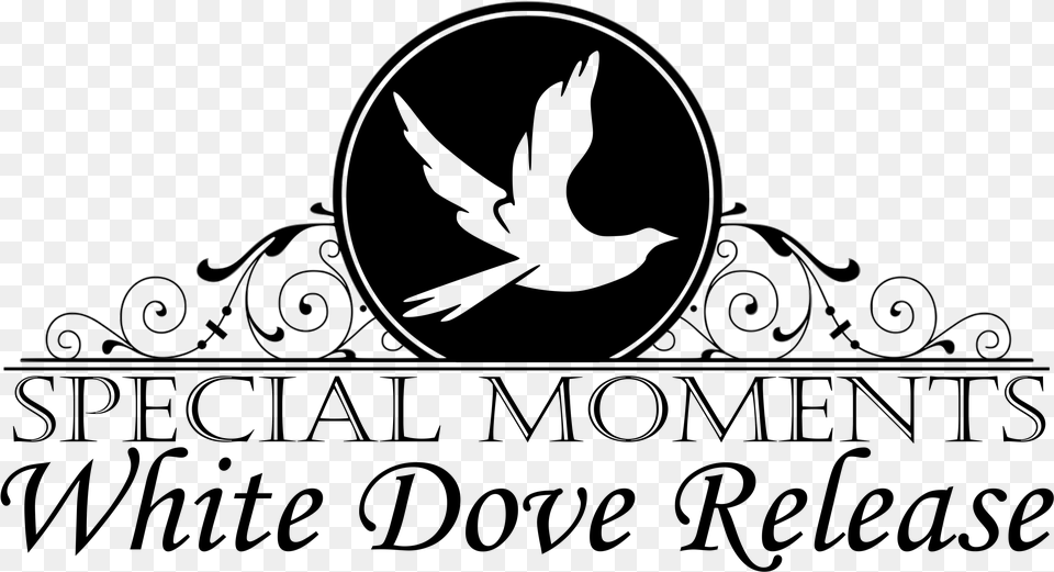 Be Inspired With A Dove Release University Of Maryland University College, Accessories, Blackboard, Jewelry Free Transparent Png