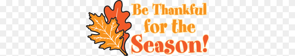Be Thankful Thanksgiving Clipart Clip Art, Leaf, Plant, Tree, Dynamite Png