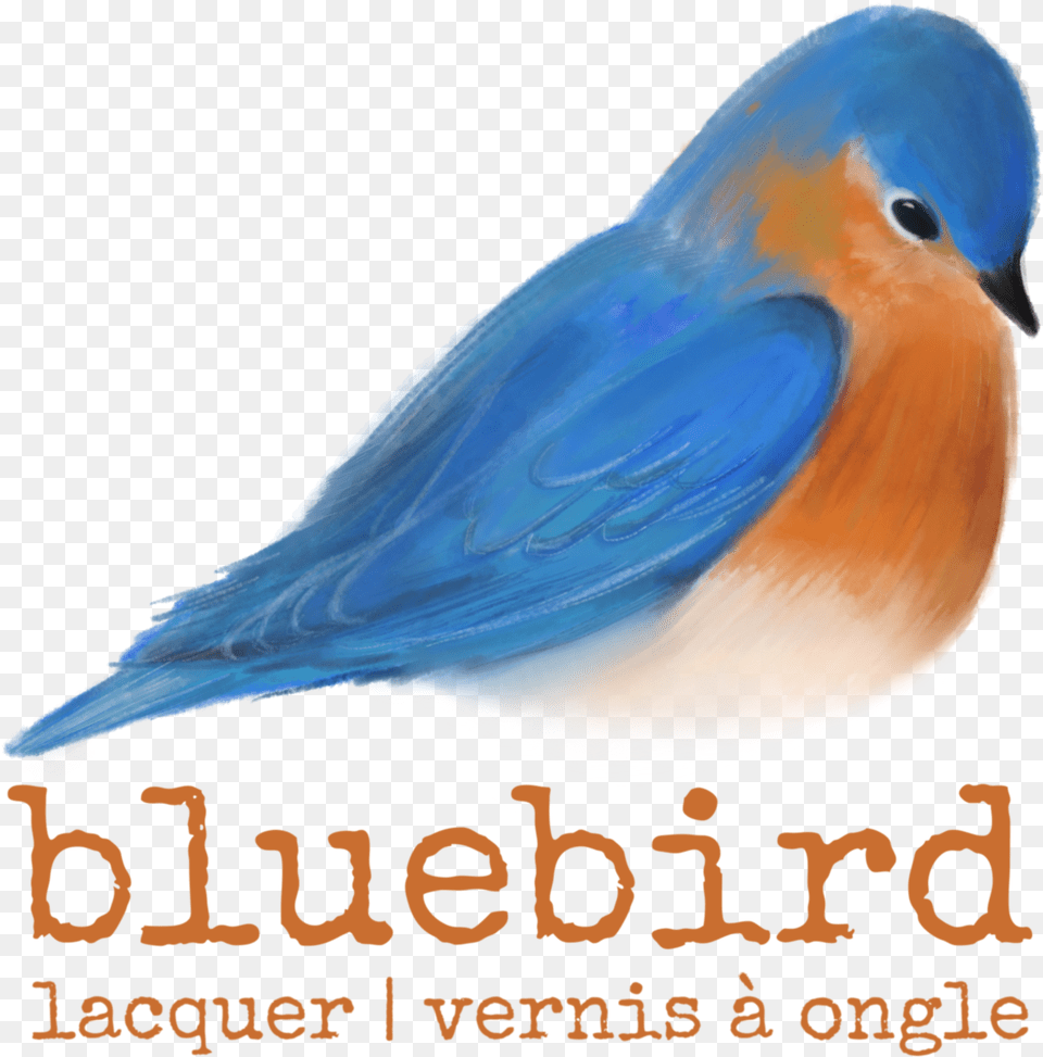 Be Yourself Express With Bluebird Lacquer Eastern Bluebird, Animal, Bird, Blue Jay, Jay Free Png