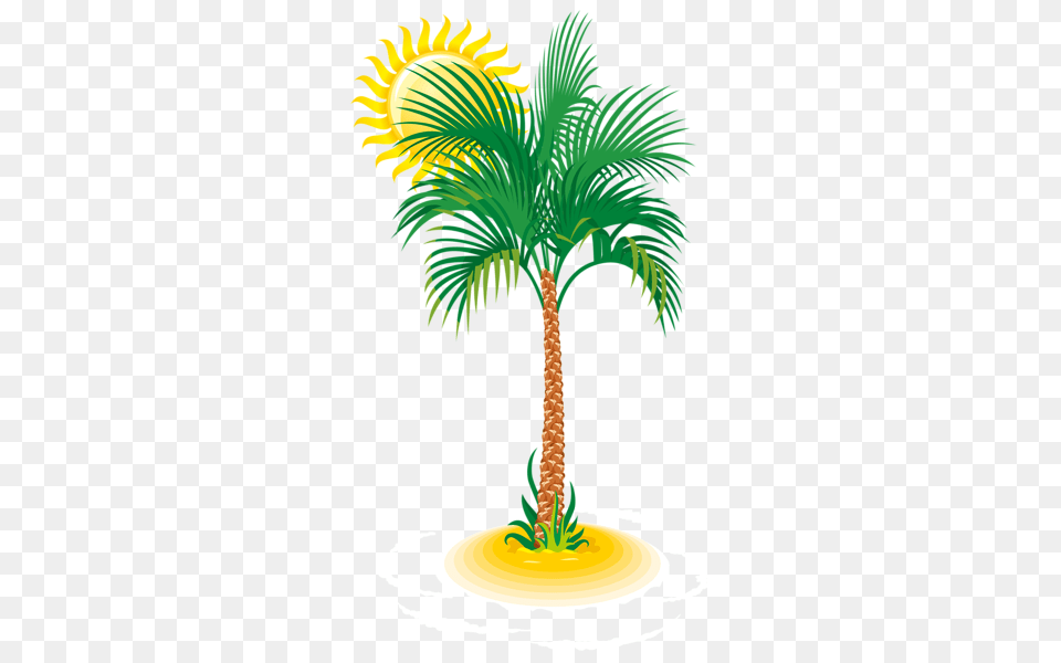 Beach, Palm Tree, Plant, Tree, Smoke Pipe Png Image