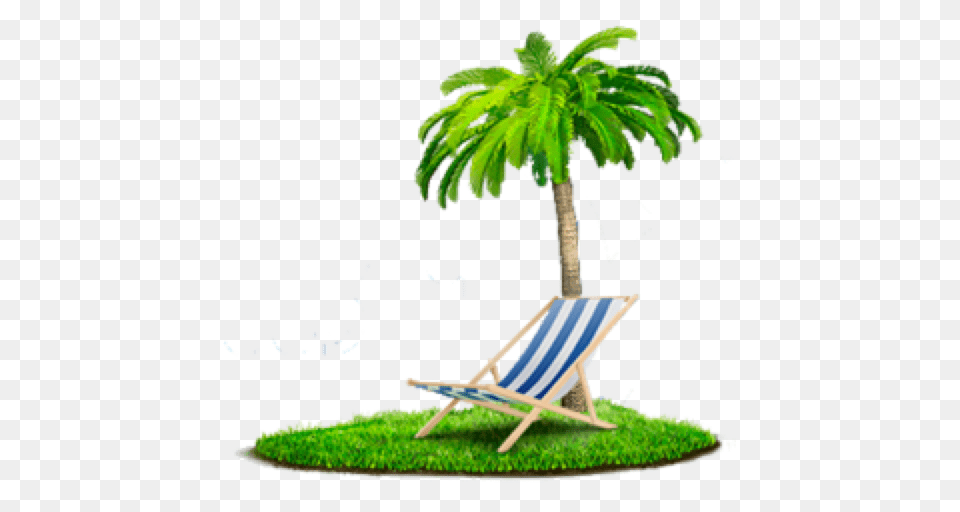 Beach, Chair, Furniture, Grass, Tree Free Transparent Png