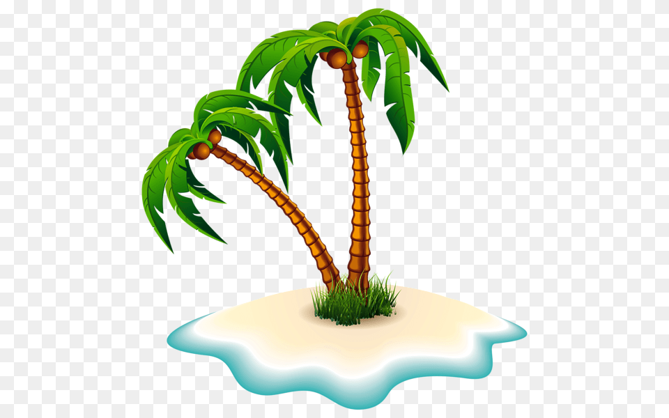 Beach, Plant, Tree, Leaf, Vegetation Free Png