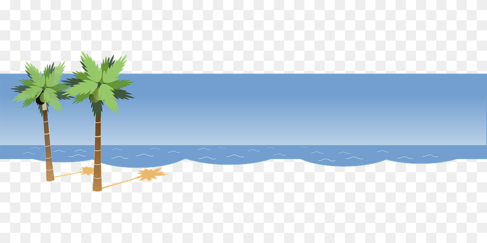 Beach, Water, Tropical, Tree, Summer Free Transparent Png