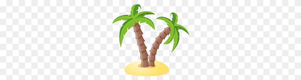 Beach, Palm Tree, Plant, Tree Free Png Download