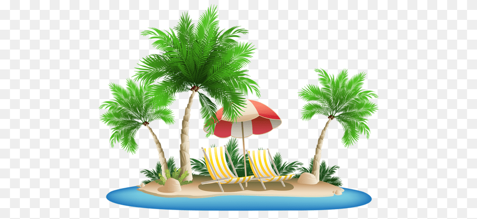 Beach, Plant, Tree, Summer, Palm Tree Free Png Download