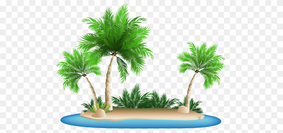 Beach, Palm Tree, Plant, Tree, Vegetation Free Png Download