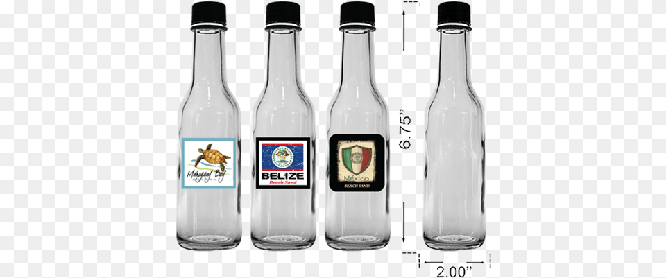 Beach, Bottle, Glass, Animal, Reptile Free Transparent Png
